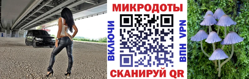 Галлюциногенные грибы мицелий  mega зеркало  Новый Оскол  цены наркотик 