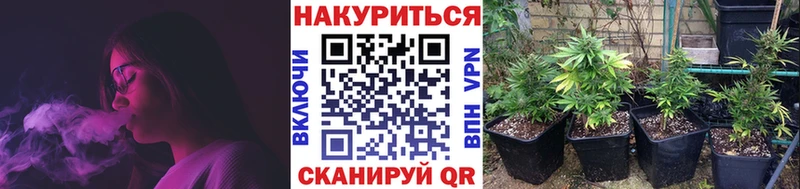 kraken маркетплейс  Новый Оскол  Шишки марихуана THC 21%  как найти наркотики 